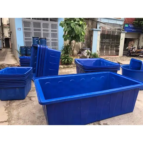 Cách Chọn Chậu Nhựa Nuôi Cá Cảnh Phù Hợp