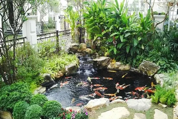 Đặt Máy Lọc Nước