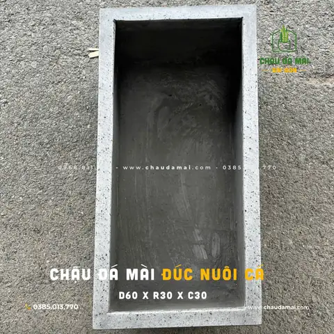 Cách Chọn Chậu Xi Măng Nuôi Cá Phù Hợp