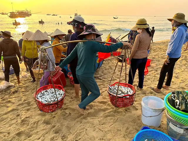 Chợ Cá Bình Minh - Trải Nghiệm "must-try" Khi Đến Bliss Hoi An