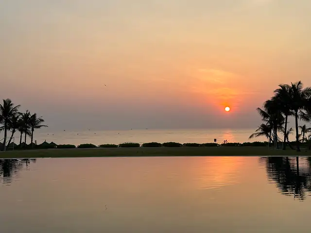 Chợ Cá Bình Minh - Trải Nghiệm "must-try" Khi Đến Bliss Hoi An