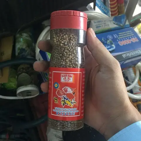 Cho Cá Cảnh Ăn Bao Nhiêu Là Đủ ?