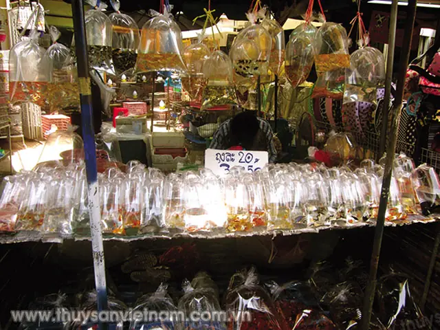 Khám Phá Chợ Cá Cảnh Chatuchak: Thiên Đường Của Những Tín Đồ Thú Cưng