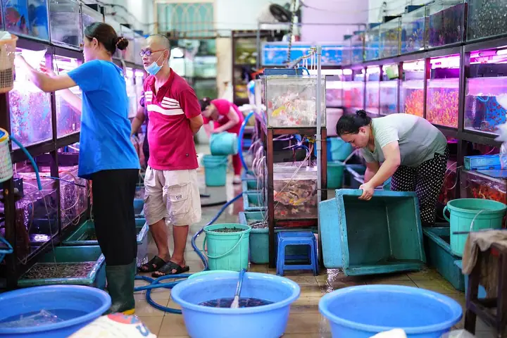 Chợ Cá Cảnh Quận 5