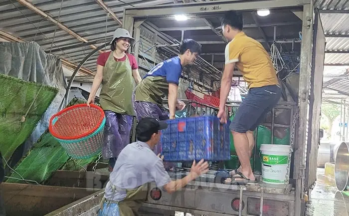 Chợ Cá Hải Dương