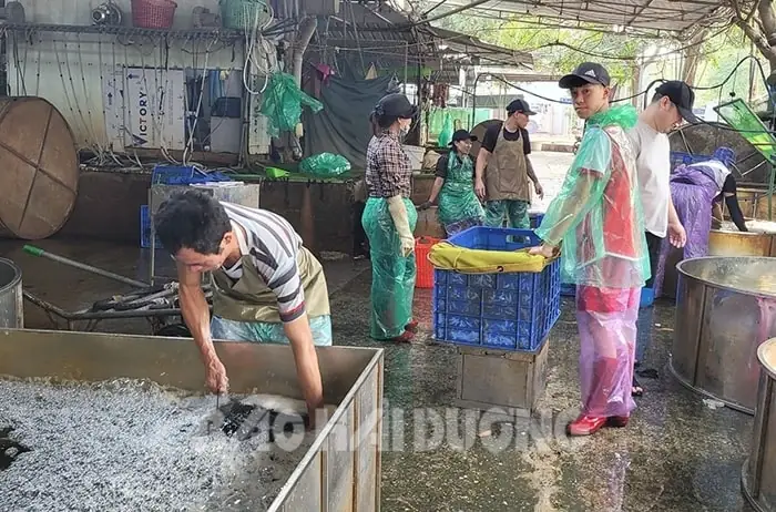 Chợ Cá Hải Dương