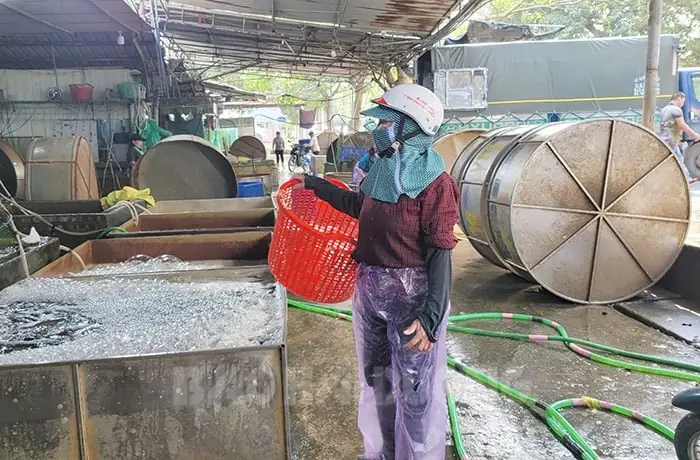 Chợ Cá Hải Dương