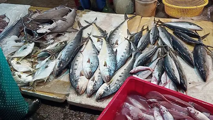 Chợ Cá Thanh Hà Hội An - Nơi Bán Hải Sản Tươi Sống Ngon Nhất Ở Phố Cổ 4