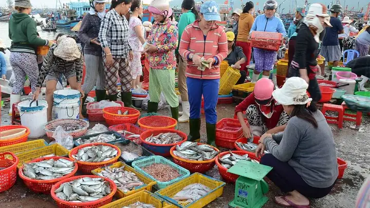 Chợ Hải Sản Quy Nhơn – “thiên Đường” Cho Tín Đồ Hải Sản
