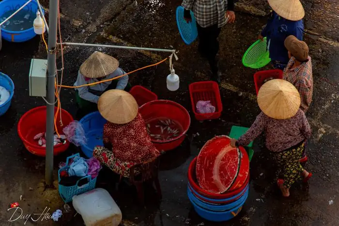 Chợ Cá Thanh Hà Hội An - Nơi Bán Hải Sản Tươi Sống Ngon Nhất Ở Phố Cổ 7