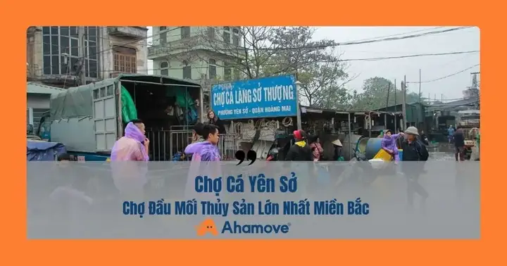 Chợ Cá Yên Sở Ở Đâu? Chợ Đầu Mối Thuỷ Sản Lớn Nhất Tại Hà Nội
