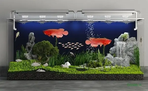 Lợi Ích Của Việc Dùng Muối