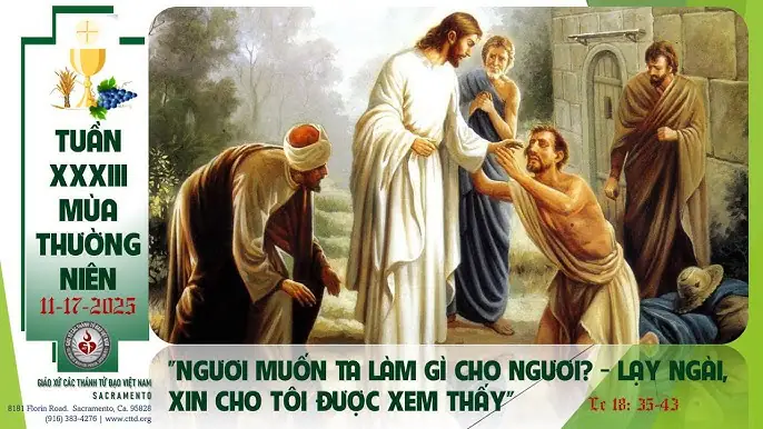 Cá Cảnh: Thế Giới Sắc Màu Dưới Nước Và Cách Chăm Sóc Hoàn Hảo