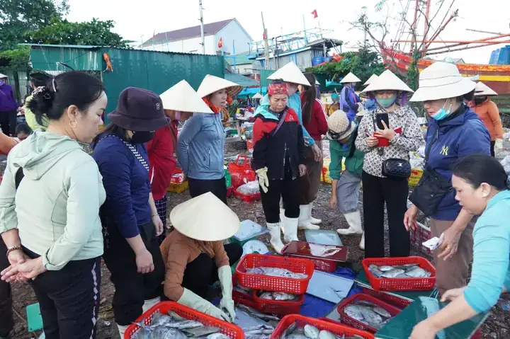 Tổng Quan Về Các Chợ Cá Cảnh Tại Bình Dương