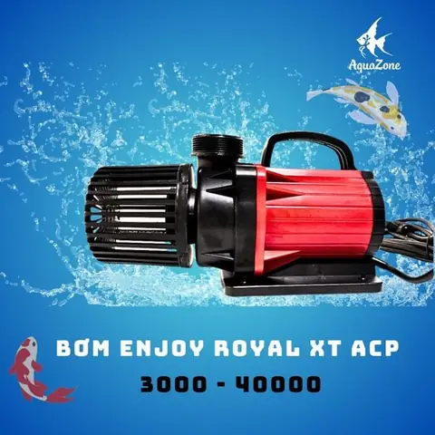 Công Suất Máy Bơm Cho Hồ Cá Là Gì? Công Suất Máy Bơm Cho Hồ Cá Là Gì?