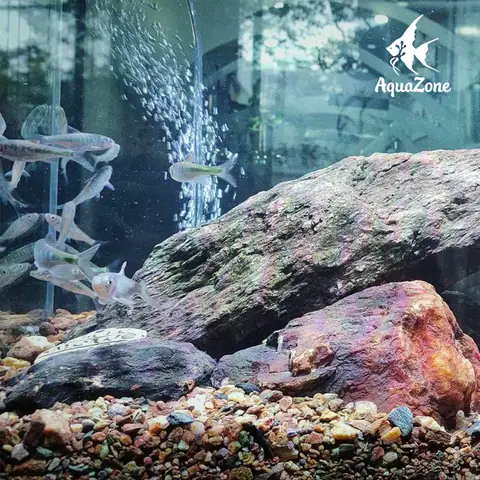 Áp Lực Nước Áp Lực Nước