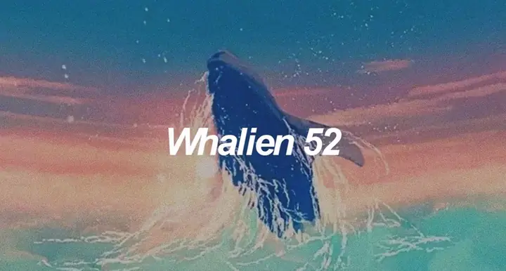 Ý Nghĩa Cá Voi 52hz