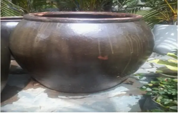 Chum Lọc Bể Cá