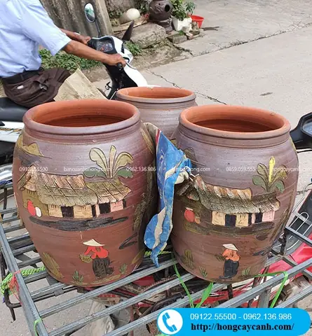 Chum Lọc Bể Cá: Giải Pháp Lọc Nước Tự Nhiên & Trang Trí Độc Đáo Cho Hồ Cá Cảnh