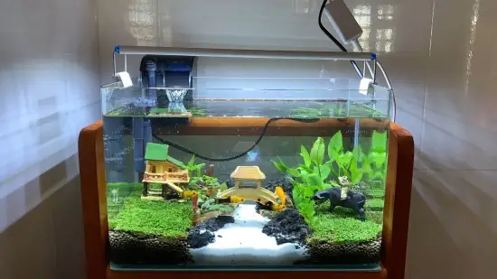 Giới Hạn Về Kích Thước Lớn