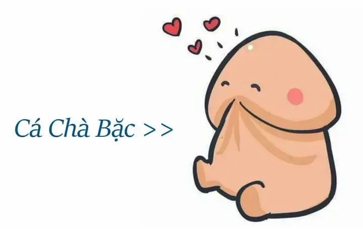 Chuẩn Bị Môi Trường Sống Lý Tưởng Cho Cá Chà Bặc