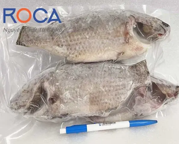 Cá Rô Đồng: Cẩm Nang Toàn Diện Từ Đặc Điểm Đến Món Ngon
