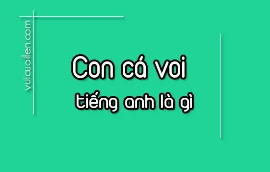 Con Cá Voi Tiếng Anh Là Gì