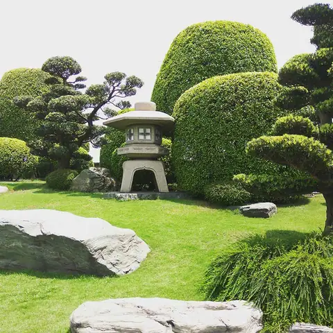 Những Hình Ảnh Đẹp Độc Đáo Được Chụp Tại Công Viên Cá Koi Rin Rin Park