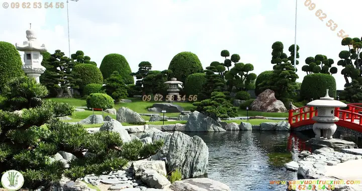 Công Viên Hồ Cá Koi Còn Là Điểm Hẹn Quen Thuộc Cho Những Cuộc Hội Ngộ Bạn Bè