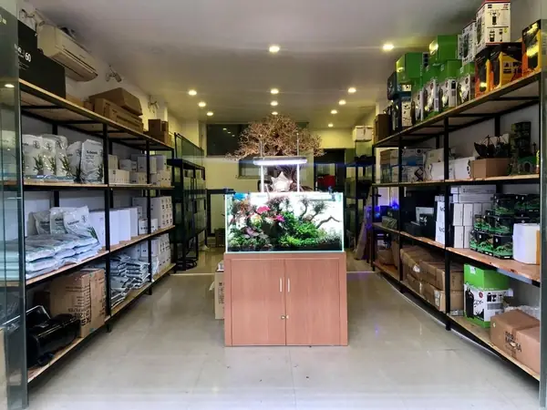 Thủy Sinh 4u