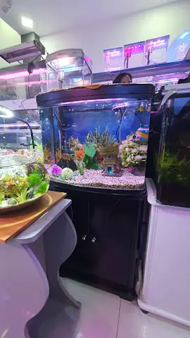 Cửa Hàng Cá Cảnh Biển Sơn Hà