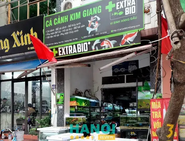Cửa Hàng Cá Cảnh Huệ Hoàn: Đánh Giá Chi Tiết Từ A-z