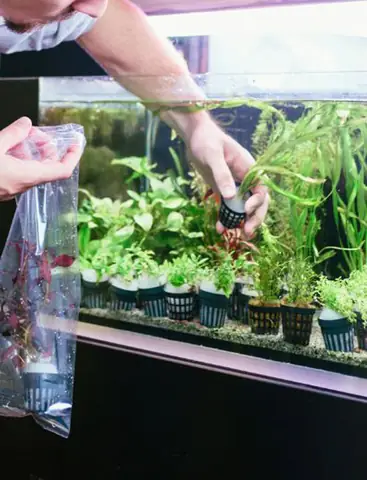 Đội Ngũ Chuyên Gia Nhiệt Tình