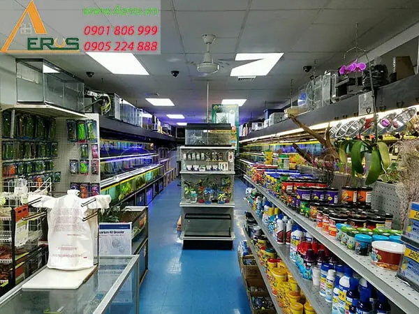 Hướng Dẫn Chi Tiết Cách Chọn Cửa Hàng Chim Cá Cảnh Uy Tín Cho Người Mới Bắt Đầu