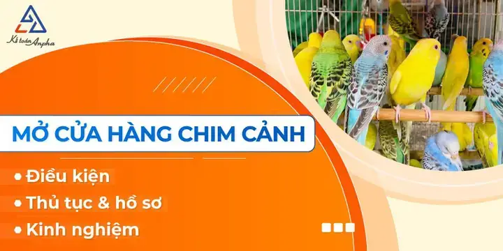 Hướng Dẫn Chi Tiết Cách Chọn Cửa Hàng Chim Cá Cảnh Uy Tín Cho Người Mới Bắt Đầu