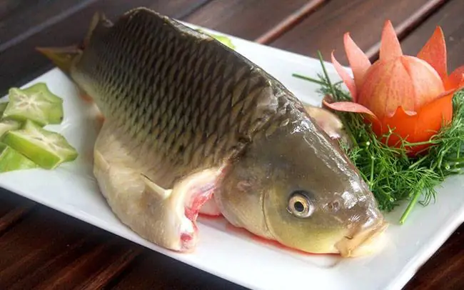 Bài Thuốc Trị Bệnh Từ Cá Chép