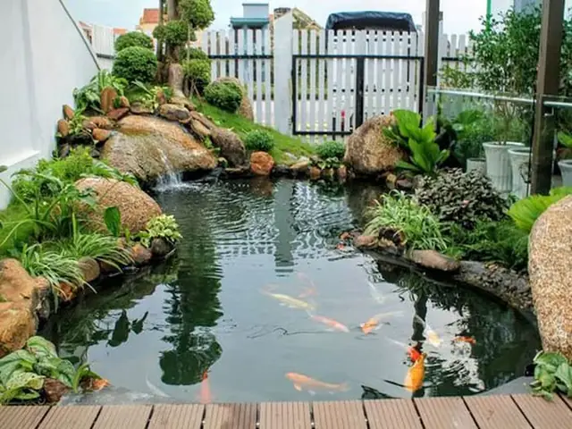 Dai_phun_nuoc_ho_ca_koi__4_