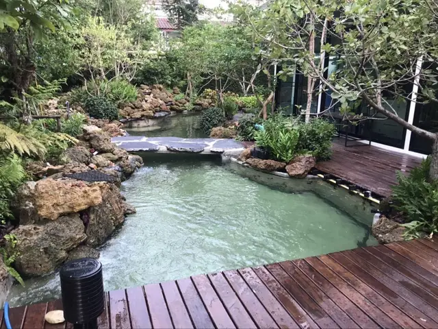 Dai-phun-nuoc-ho-ca-koi2