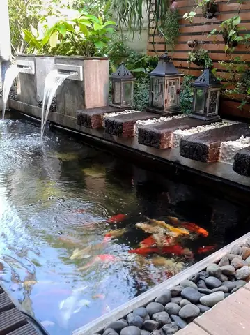 Dai-phun-nuoc-ho-ca-koi5