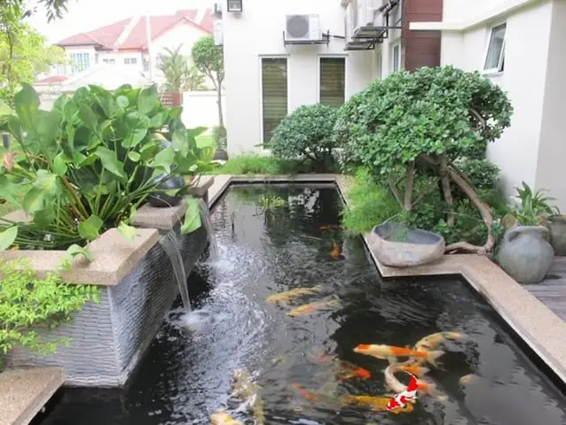 Dai_phun_nuoc_ho_ca_koi__3_