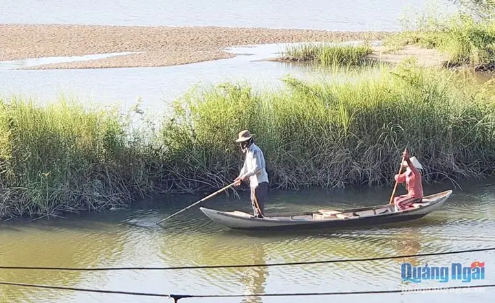 Đánh Cá Bằng Xung Điện: Hiểu Rõ Để Tránh Rủi Ro Pháp Lý Và Bảo Vệ Môi Trường