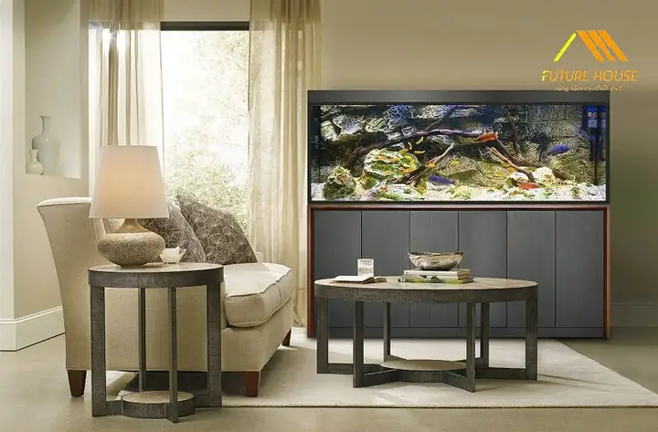 Hướng Dẫn Thiết Kế Bể Cá Kính Hình Hộp Chữ Nhật Tiết Kiệm Nguyên Vật Liệu Nhất