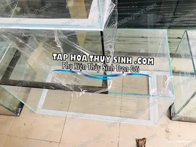 Các Yếu Tố Cần Cân Nhắc Khi Đặt Làm Bể Cá