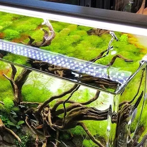 Tại Sao Nên Sử Dụng Đèn Led ?