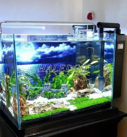 Đặc Điểm
