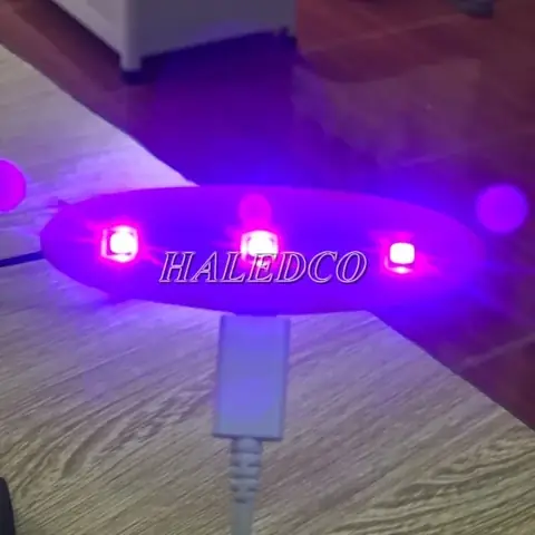 Đặc Điểm