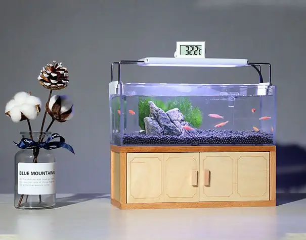 Đèn Hồ Cá Nhỏ: Cẩm Nang Toàn Tập Về Lựa Chọn, Sử Dụng Và Lợi Ích Thiết Thực