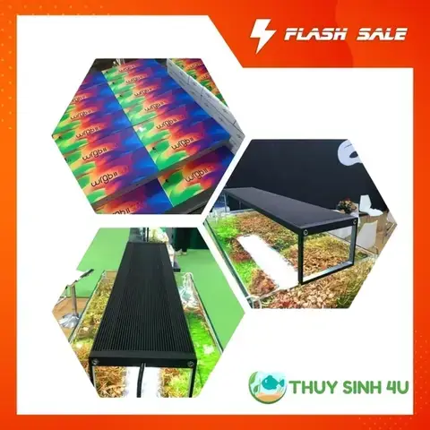 Tại Sao Nên Chọn Đèn Led Cho Bể Cá Cảnh 30cm?