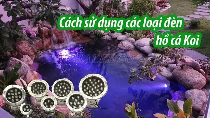 Đèn Led Dưới Nước Hồ Các Koi