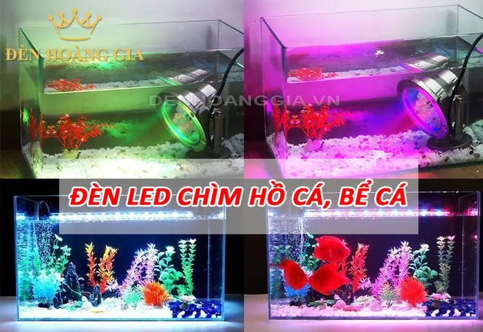 Đèn Led Chìm Hồ Cá, Bể Cá